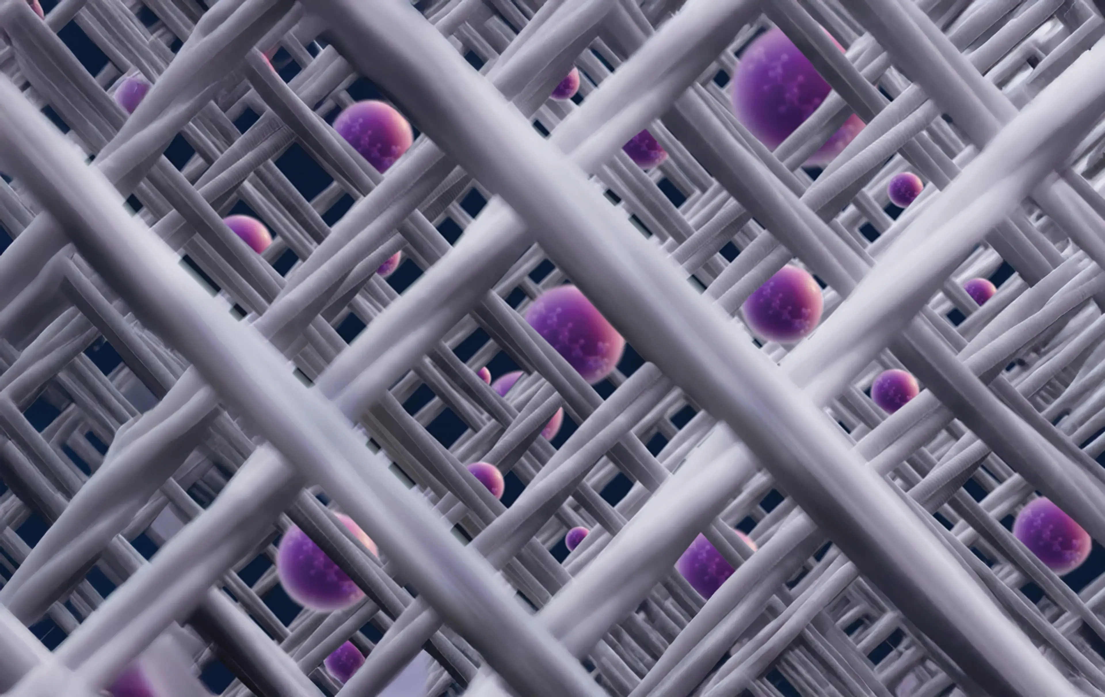 banner-image-background