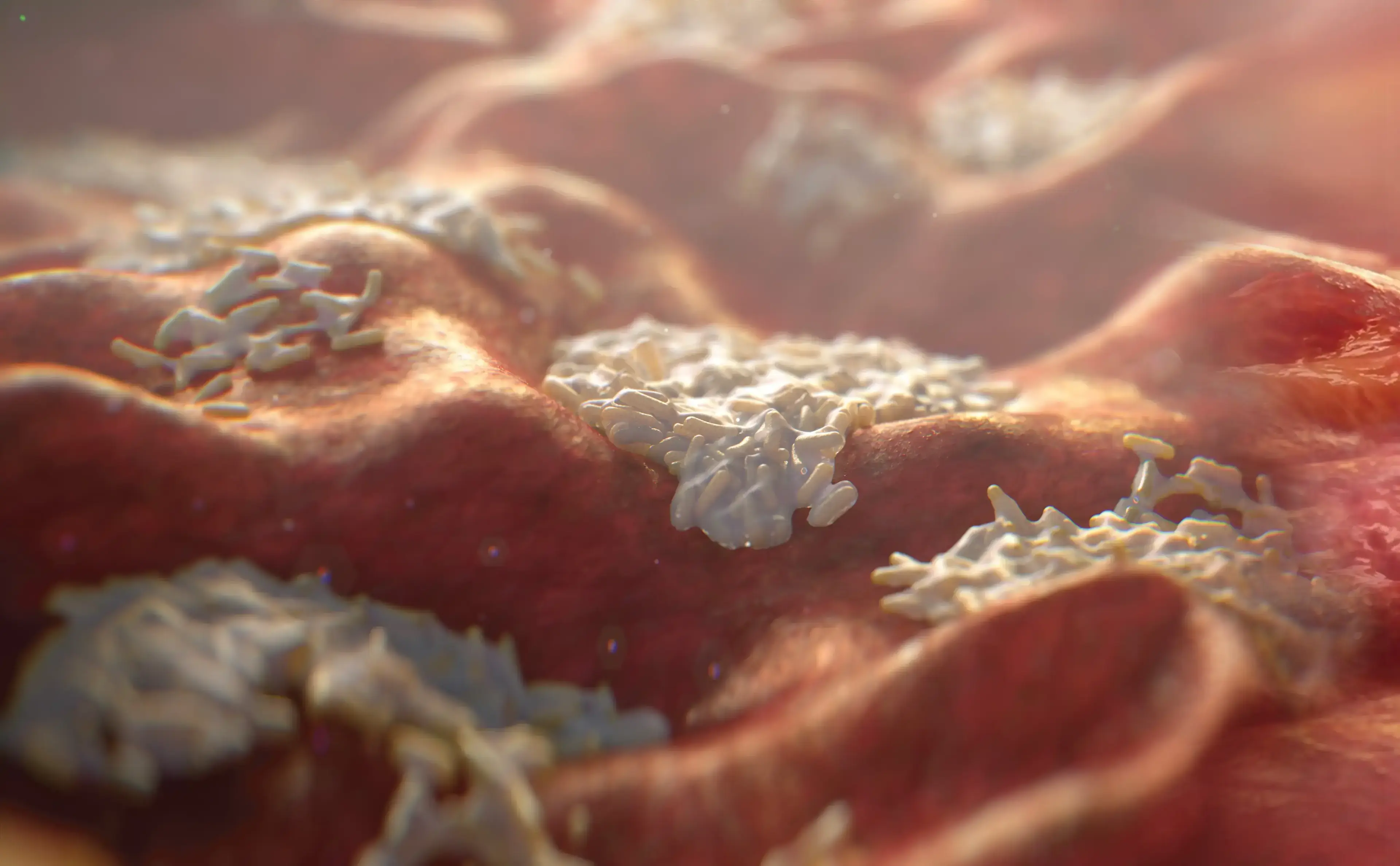 Wound Card Challenges Background